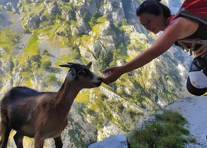 En Cabrales Picos Europa * Arenas De Cabrales